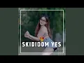 Download Lagu SKIDIDOM X PARADIS INST