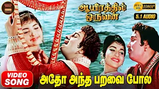adho andha paravai hd video song mgr jayalalitha tms msv kannadasan aayirathil oruvan