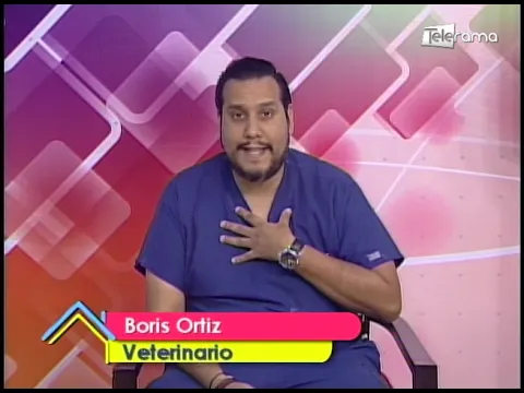 Es recomendable compartir la cama con mascotas