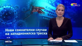 Вести во 16:00 на Сител Телевизија, 24.08.2026