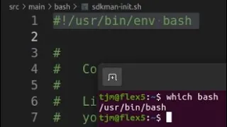 env bash VS VS bash