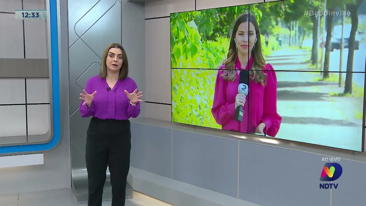 Barra Velha: mais de 10 tartarugas são encontradas mortas após se prenderem em rede de pesca