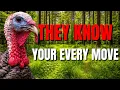 Stop Educating Turkeys