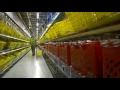 Ocado Case Study