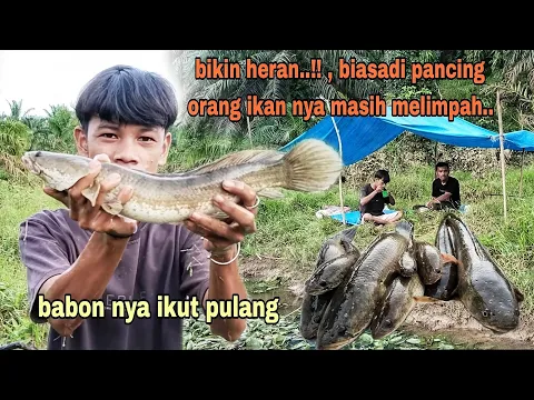 Download MP3 CUKUP  BIKIN KAGET..!! SERING DI PANCING ORANG IKAN NYA MASIH MELIMPAH.. !!