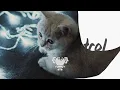Tate McRae - feel like this (lyrics)