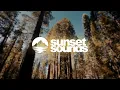 David Guetta, Sia - Beautiful People | Lyrics