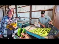 Download Lagu Het werk dat niemand op een boerderij ziet