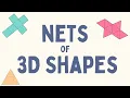 Nets of 3D Shapes
