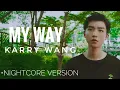 流星 (MY WAY) - Karry Wang | speed up ver.