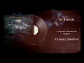 Sturgill Simpson - In Bloom (Vinyl Visualizer)