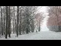 Nevada en Georgetown Delaware en el tiempo de Nieve