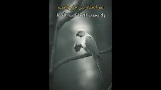 ستوريات انستا دينيه حالات واتساب دينيه جميله مقاطع قصيره دينيه ستوريات دينيه اقوال وحكم دينيه 