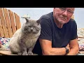 Download Lagu Man haat katten zijn hele leven, maar deze zwerfkat heeft zijn hart doen smelten