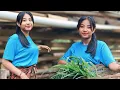 Download Lagu JANDA DESA CANTIK KETURUNAN INDIA?! BUTUH SUSU  MAKAN PEMBERIAN KAKEK || SURAT SURAT LENGKAP