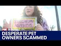 Scammers targeting owners of missing pets in Pierce Co FOX 13 Seattle