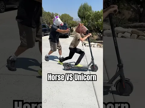 Angry Unicorn VS Ugly Horse