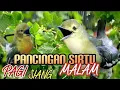 Download Lagu Pancingan sirtu pagi,siang malam terbaik sepanjang masa,ampuh bikin emosi lawan