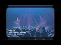 NAFTA | Quiero verte | MOVISTAR ARENA OCTUBRE 24 | Mi audio/video+audio/video oficial