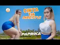 Download Lagu Dj Cinta Tak Direstui - Paprica (Official Music Video)