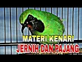 CUCAK IJO ISIAN KENARI SUARA JERNIH DAN PAJANG