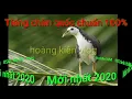 Download Lagu Tiếng chim quốc mồi mới nhất 2020 cho anh em đam mê - hoàng kiên vlog
