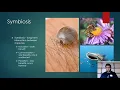 APES Topic 1 1 Introduction to Ecosystems