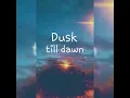 Download Lagu Dusk Till Dawn | RINGTONE |