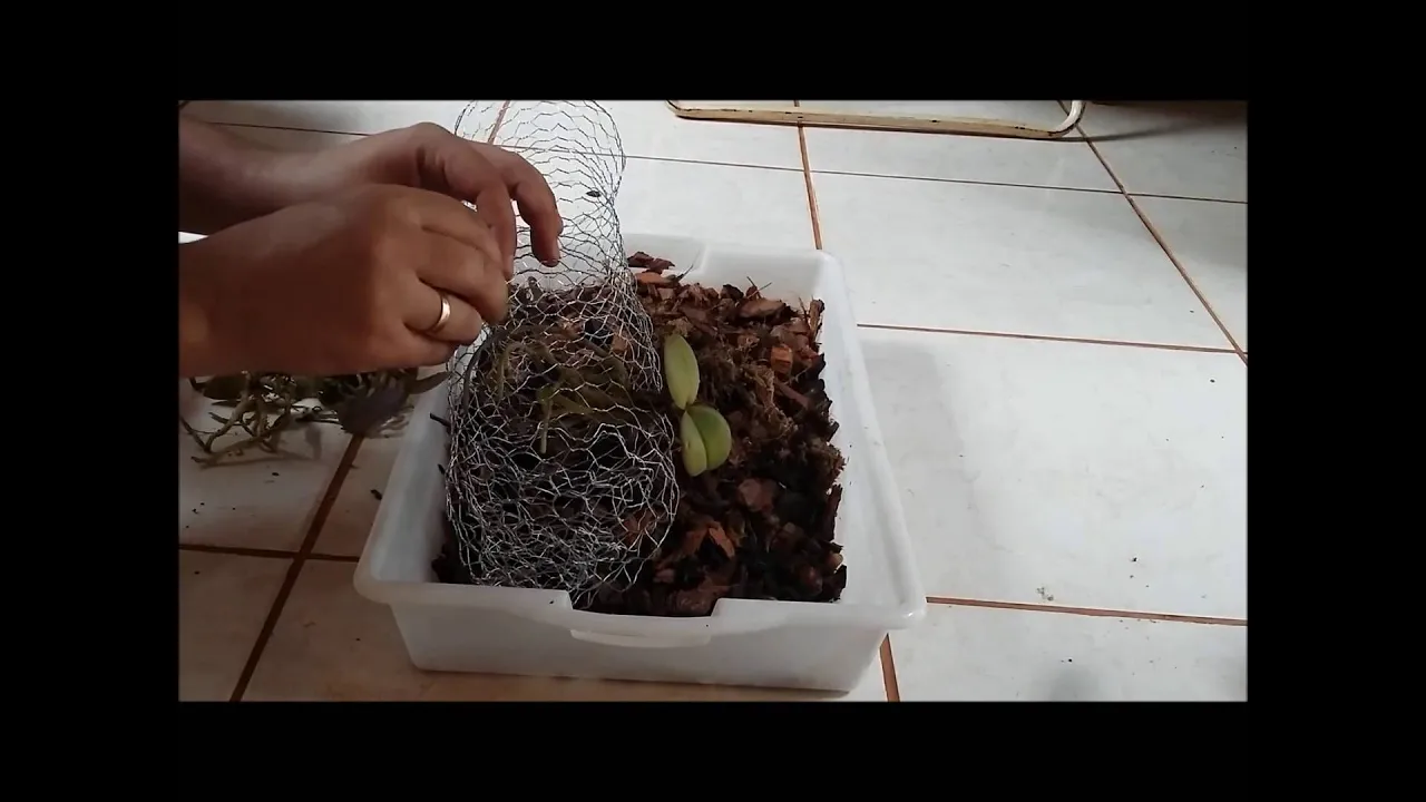 DIY CACHEPOT DE TELA PARA ORQUÍDEAS