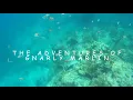 Gnarly Marlin Snorkeling Looe Key Part 2