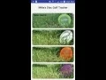 Disc Golf Scorecard App Demo 2