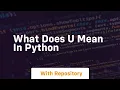 what does u mean in python