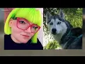 Download Lagu Kuna teen hit by car while walking dog expected to make a full recovery