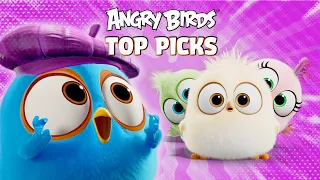 Angry Birds Top Favorite Picks! ⭐