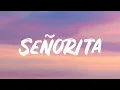 Shawn Mendes \u0026 Camilla Cabello - Señorita (Lyrics)