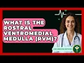 Download Lagu What Is The Rostral Ventromedial Medulla (RVM)? - Pain Medicine Network