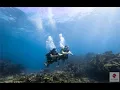 Dreaming of Scuba Diving Key Largo Florida - Silent World Dive Center