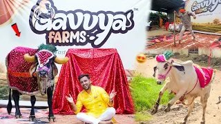 New Entry + Matki Fod Challenge 😱 Gir Cow Ghee Launch