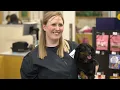 Why Petco Hear From Our Partners