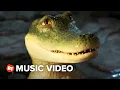 Lagu Lyle, Lyle, Crocodile Lyric Video - Carried Away (2022)