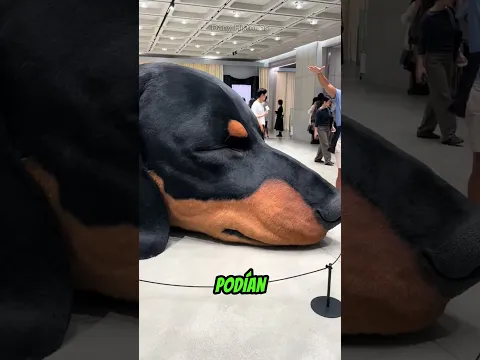 El misterioso perro gigante que sorprendió a todos