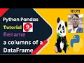 Python Pandas Tutorial 9 Rename a columns of a DataFrame Aksadur Bangla