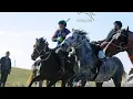 Download Lagu THE GREAT AMIR TIMUR AND THE HORSES  COUNTRY UZBEKISTAN #william #unitedstates #animals