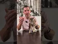 Download Lagu Une honte ! Arrêtez de faire n’importe quoi avec les animaux! Respectez les ! 