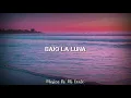 Burbujas de Amor - Juan Luis Guerra (Letra)