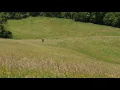Download Lagu Relaxing Wind Sounds Through The Grass Field 8 Hours / Body Movement (Free Flow)