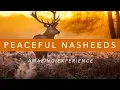 Download Lagu Nadeem Mohammed - Relaxing Vocals With Nature Sounds (Peaceful Nasheeds)