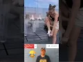 Download Lagu Jatuh tersungkur 🤣 #memevirallucu #funnyshort