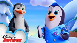 Download National Penguin Day with Pip! 🐧 | T.O.T.S. | Disney Junior MP3