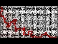 Algorithms for Solving Mazes